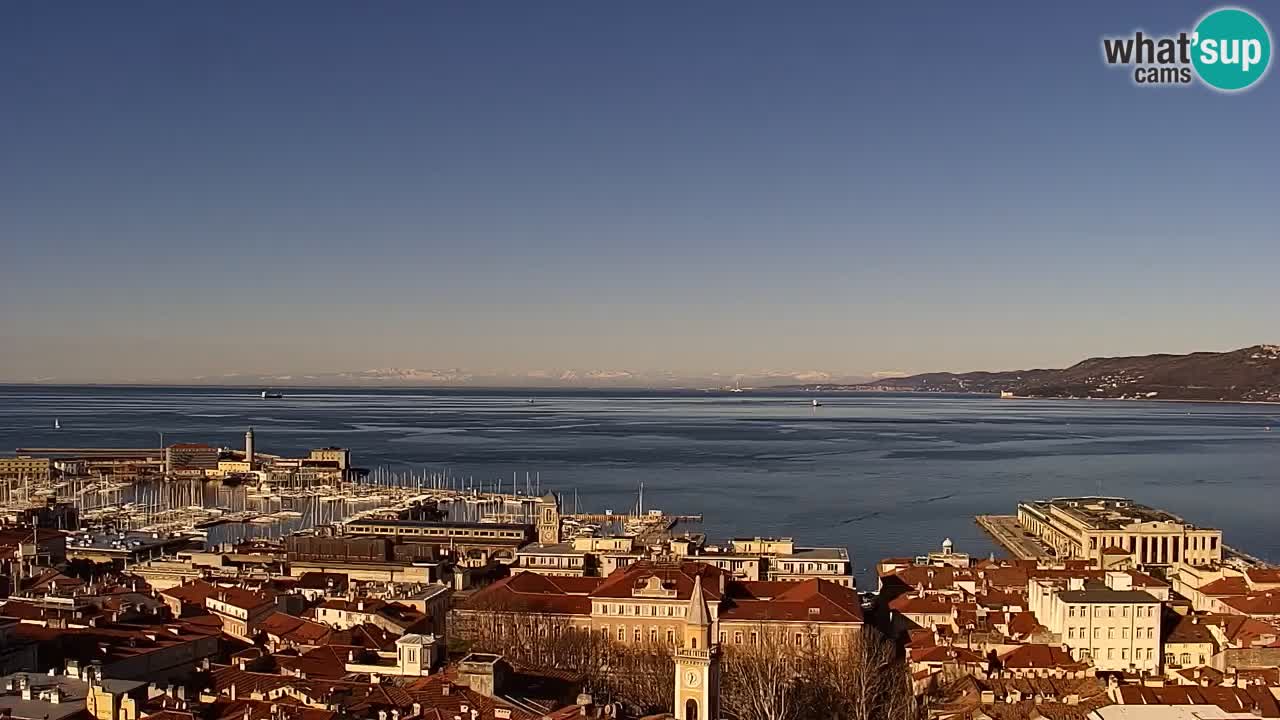 Live webcam Trieste – Panorama of the city, the Gulf, the maritime station and the Miramare castle