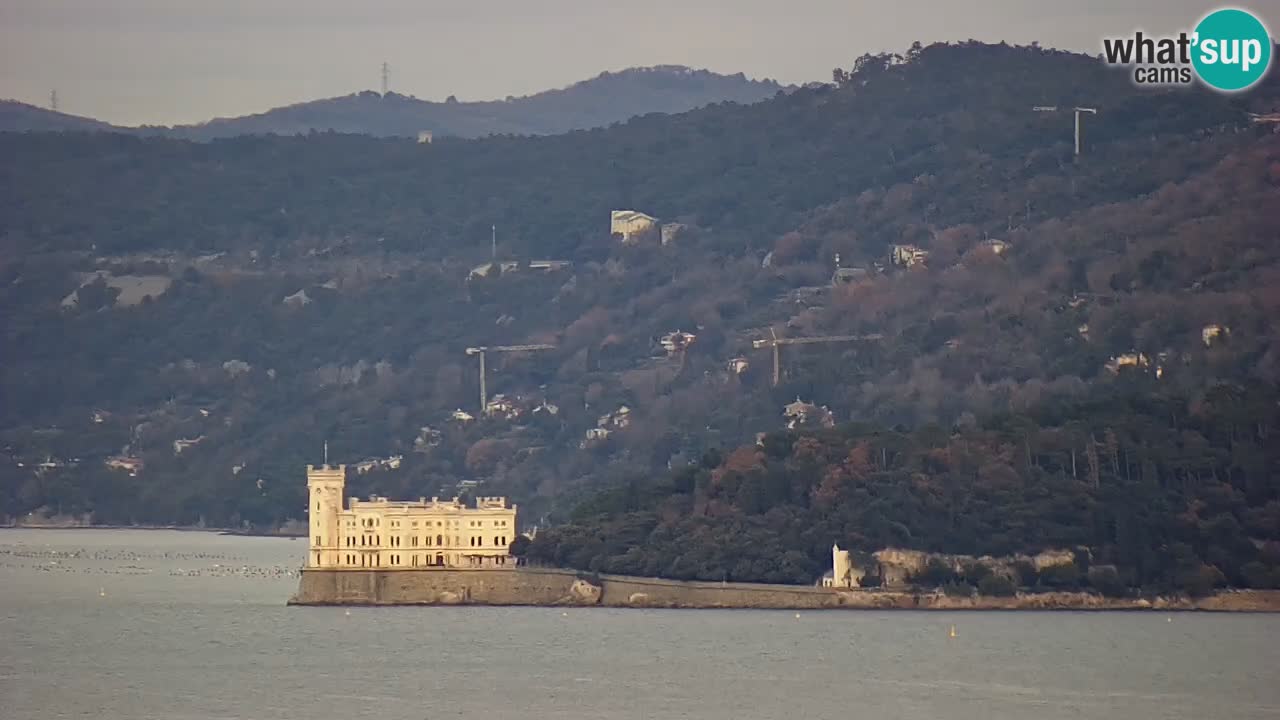 Webcam Trieste –  Vista desde el santuario Monte Grisa