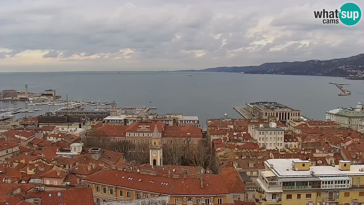 Live webcam Trieste – Panorama of the city, the Gulf, the maritime station and the Miramare castle