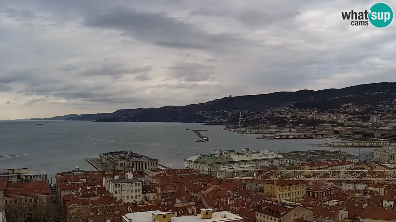 Live webcam Trieste – Panorama of the city, the Gulf, the maritime station and the Miramare castle