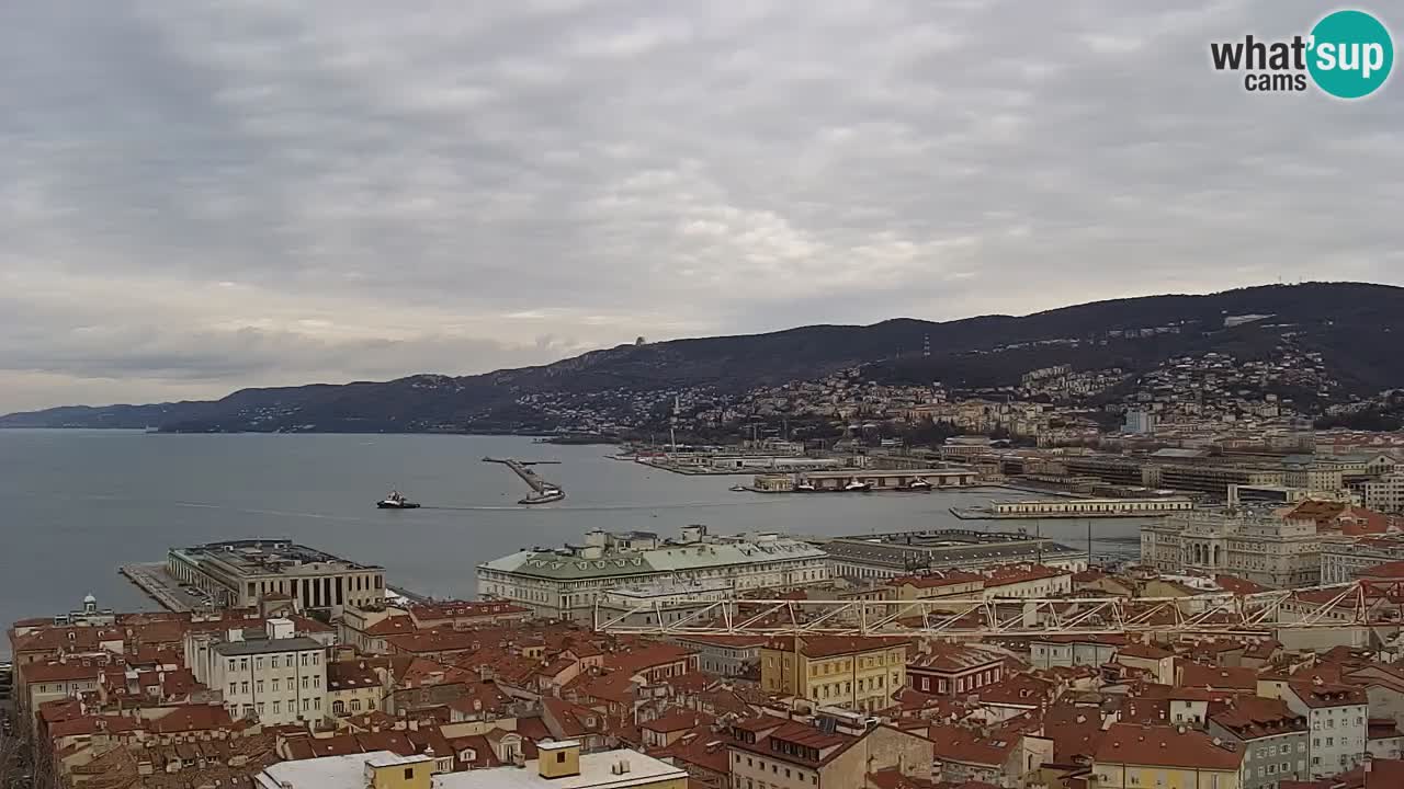 Webcam en direct Trieste, ville, golfe, port et château de Miramare