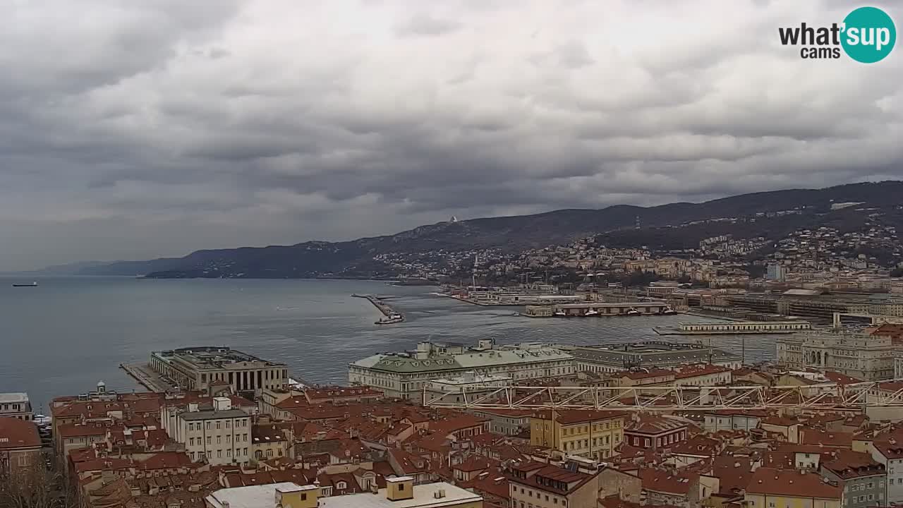 Live webcam Trieste – Panorama of the city, the Gulf, the maritime station and the Miramare castle