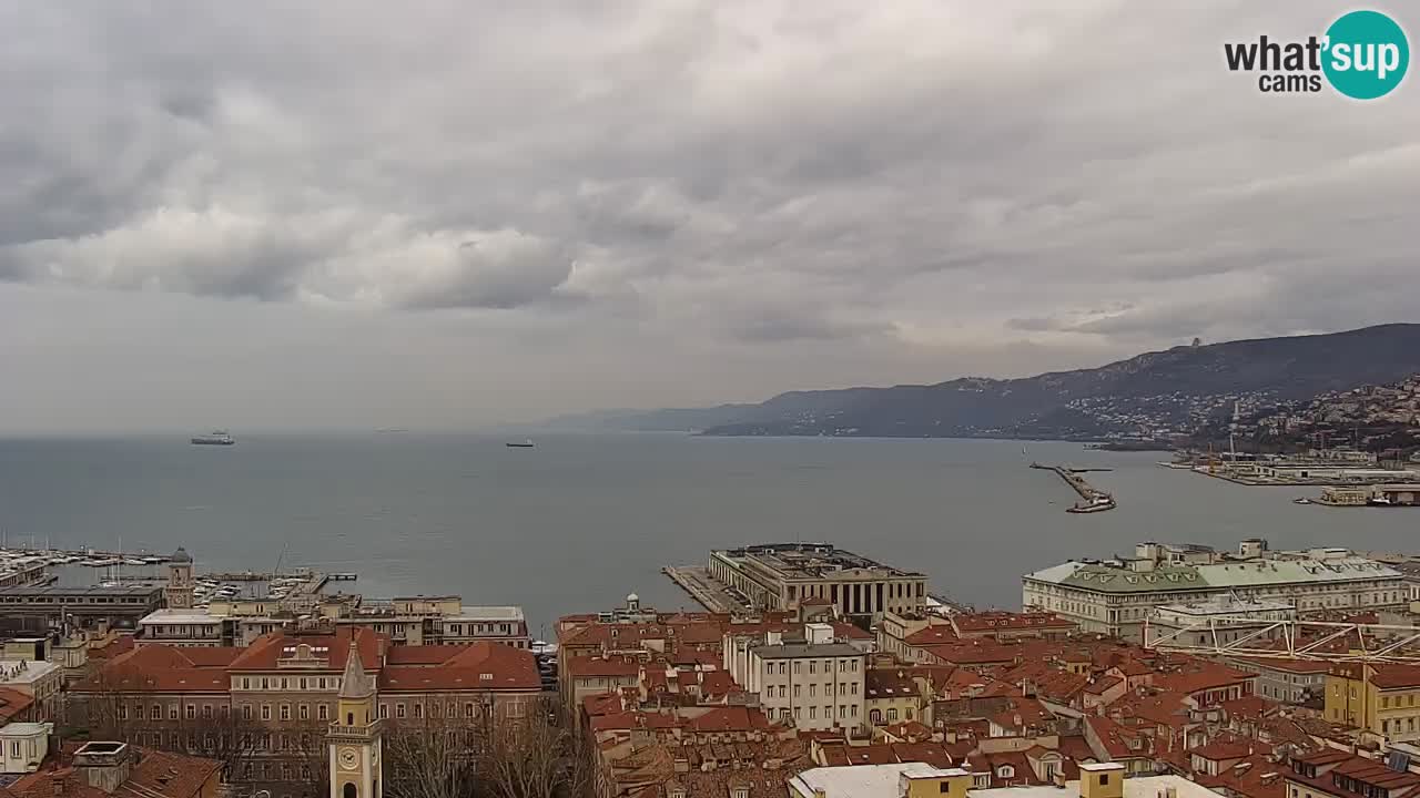 Live webcam Trieste – Panorama of the city, the Gulf, the maritime station and the Miramare castle