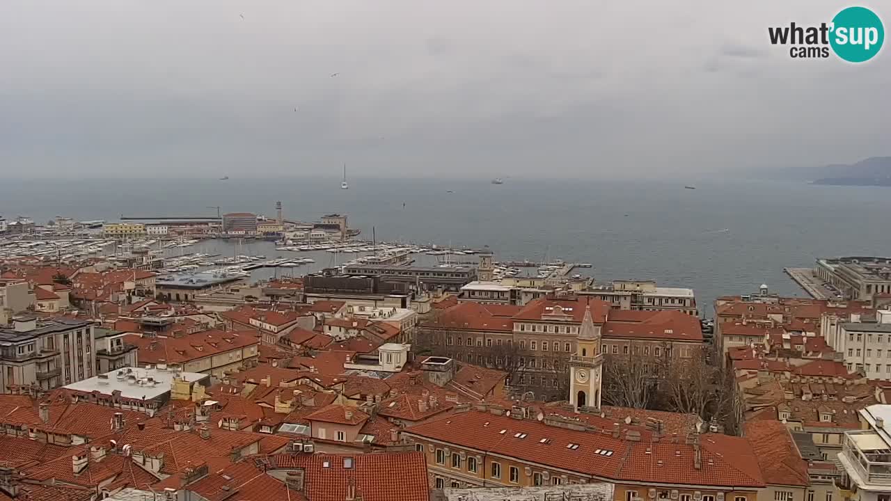 Webcam en vivo Trieste, ciudad, golfo, puerto y castillo de Miramare