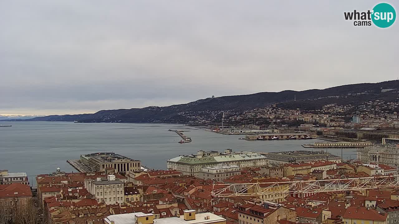 Live webcam Trieste – Panorama of the city, the Gulf, the maritime station and the Miramare castle