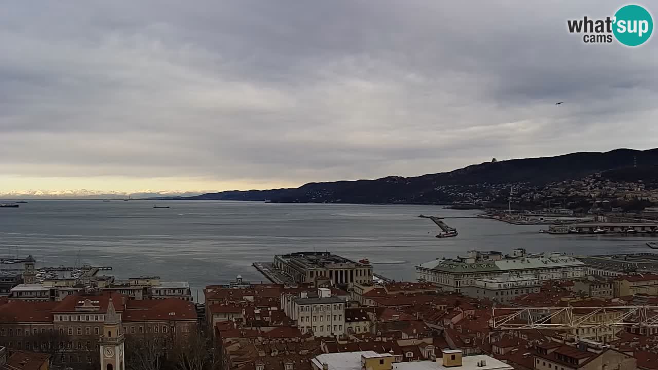 Live webcam Trieste – Panorama of the city, the Gulf, the maritime station and the Miramare castle