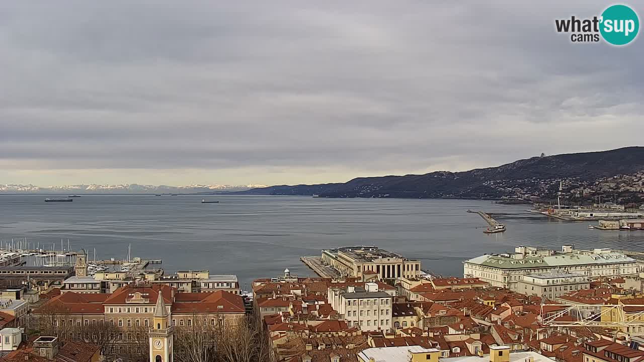 Live webcam Trieste – Panorama of the city, the Gulf, the maritime station and the Miramare castle