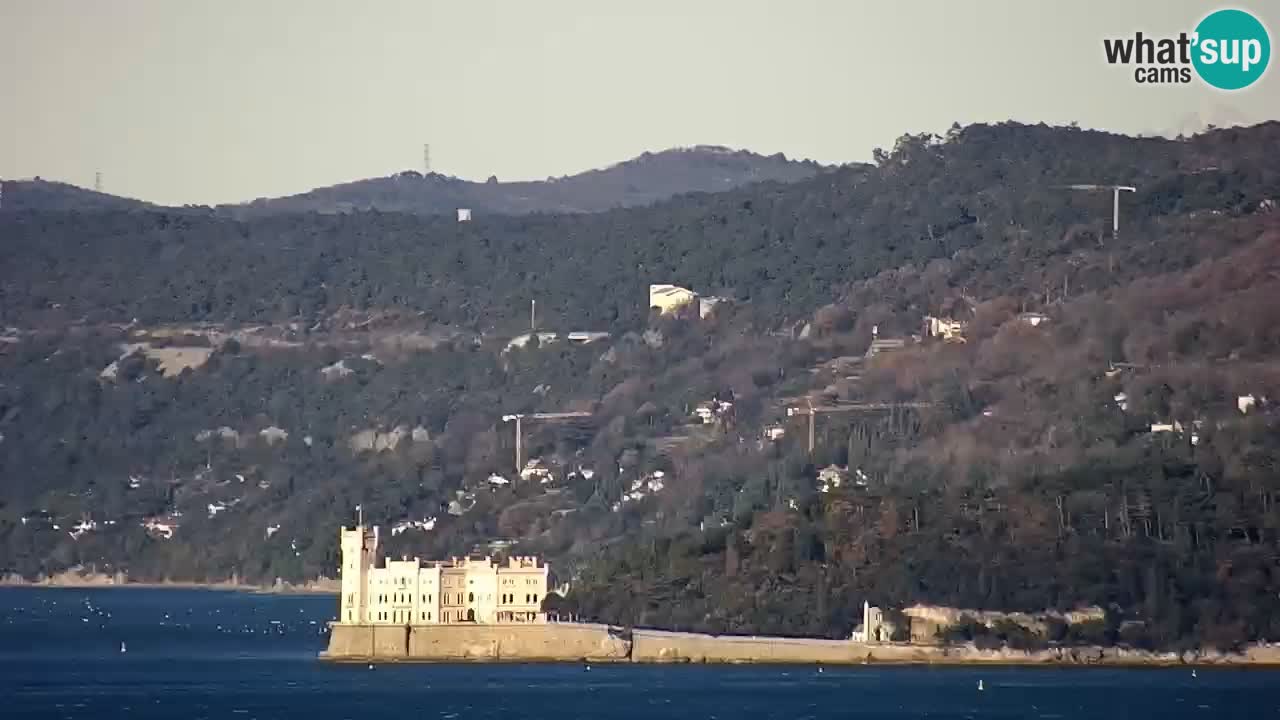 Live webcam Trieste – Panorama of the city, the Gulf, the maritime station and the Miramare castle