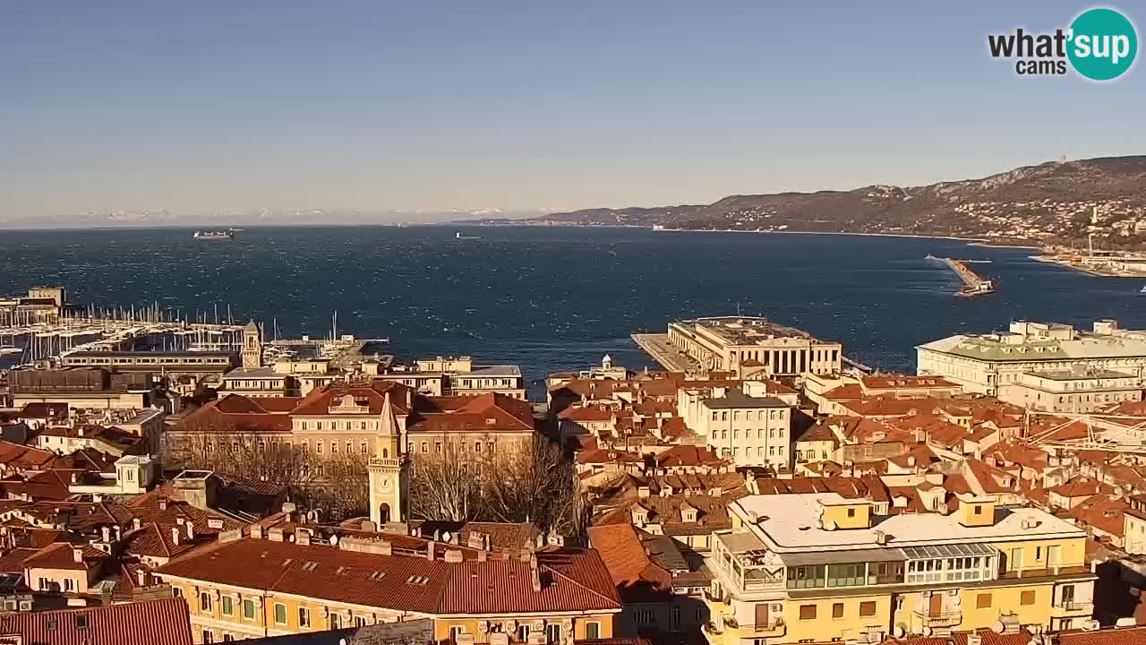 Live webcam Trieste – Panorama of the city, the Gulf, the maritime station and the Miramare castle