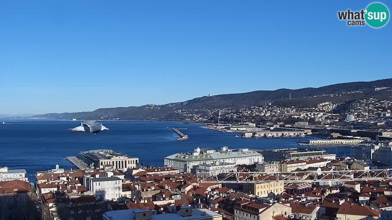 Webcam en direct Trieste, ville, golfe, port et château de Miramare