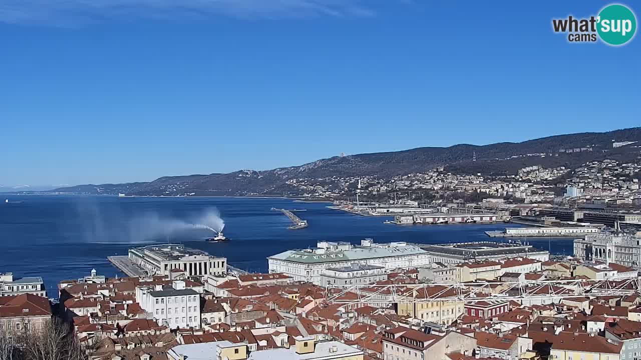 Live webcam Trieste – Panorama of the city, the Gulf, the maritime station and the Miramare castle