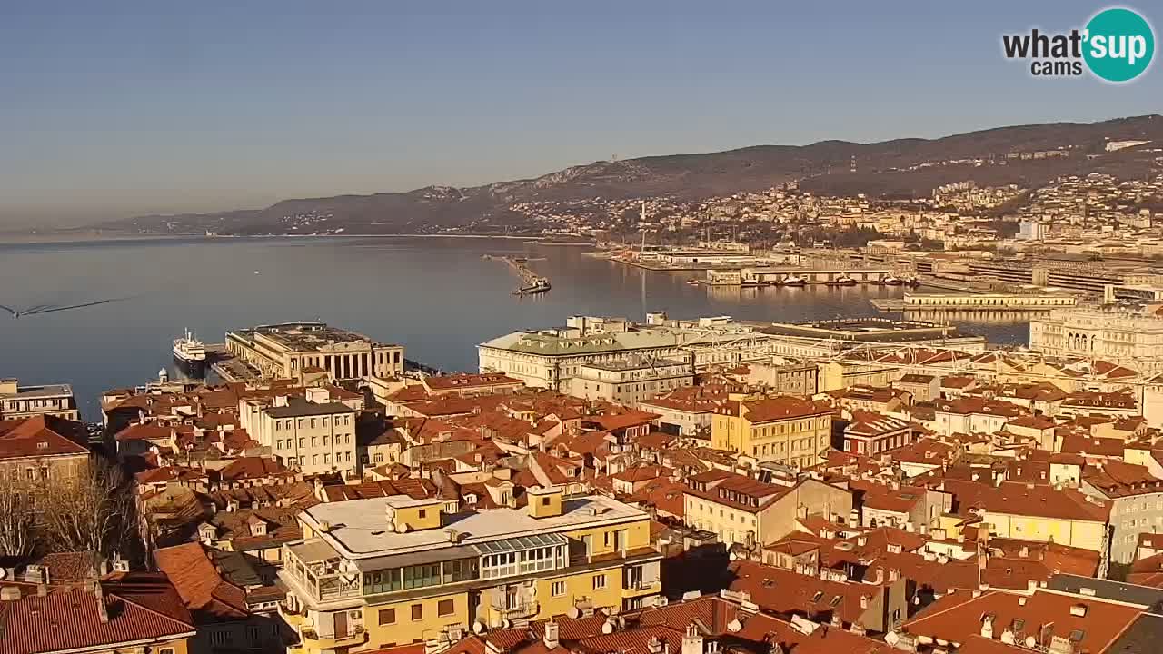 Live webcam Trieste – Panorama of the city, the Gulf, the maritime station and the Miramare castle