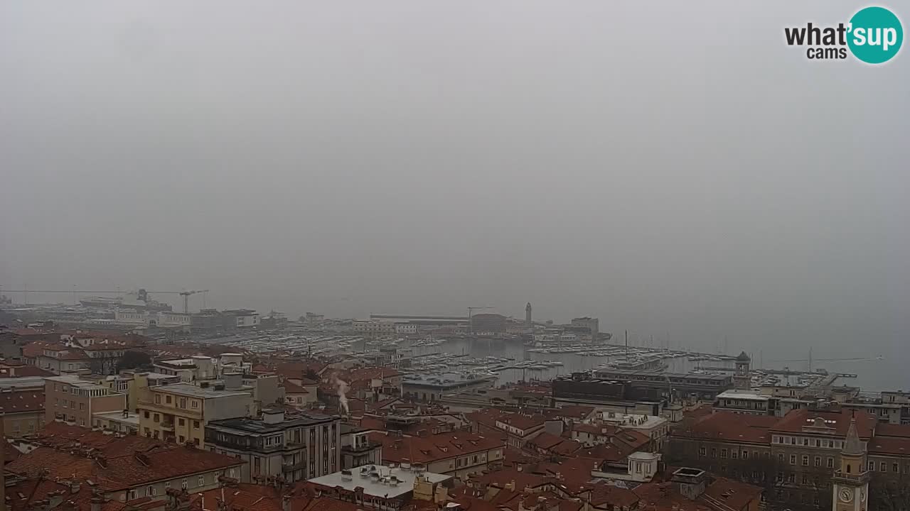 Live webcam Trieste – Panorama of the city, the Gulf, the maritime station and the Miramare castle