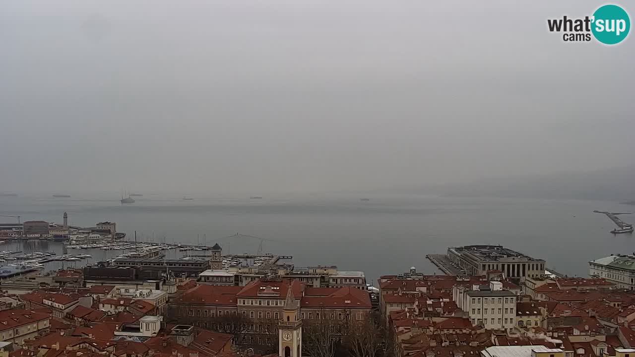 Live webcam Trieste – Panorama of the city, the Gulf, the maritime station and the Miramare castle