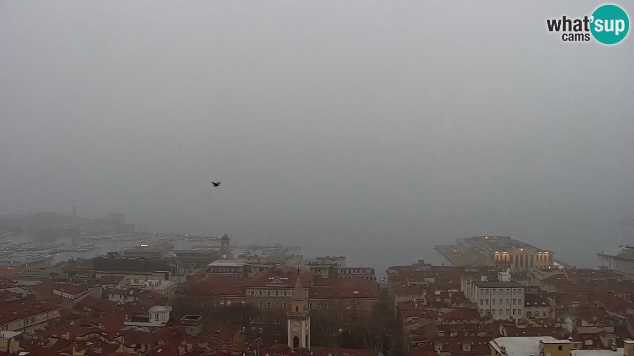 Webcam en direct Trieste, ville, golfe, port et château de Miramare