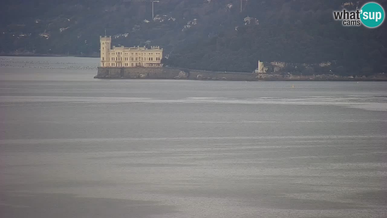 Webcam en direct Trieste, ville, golfe, port et château de Miramare