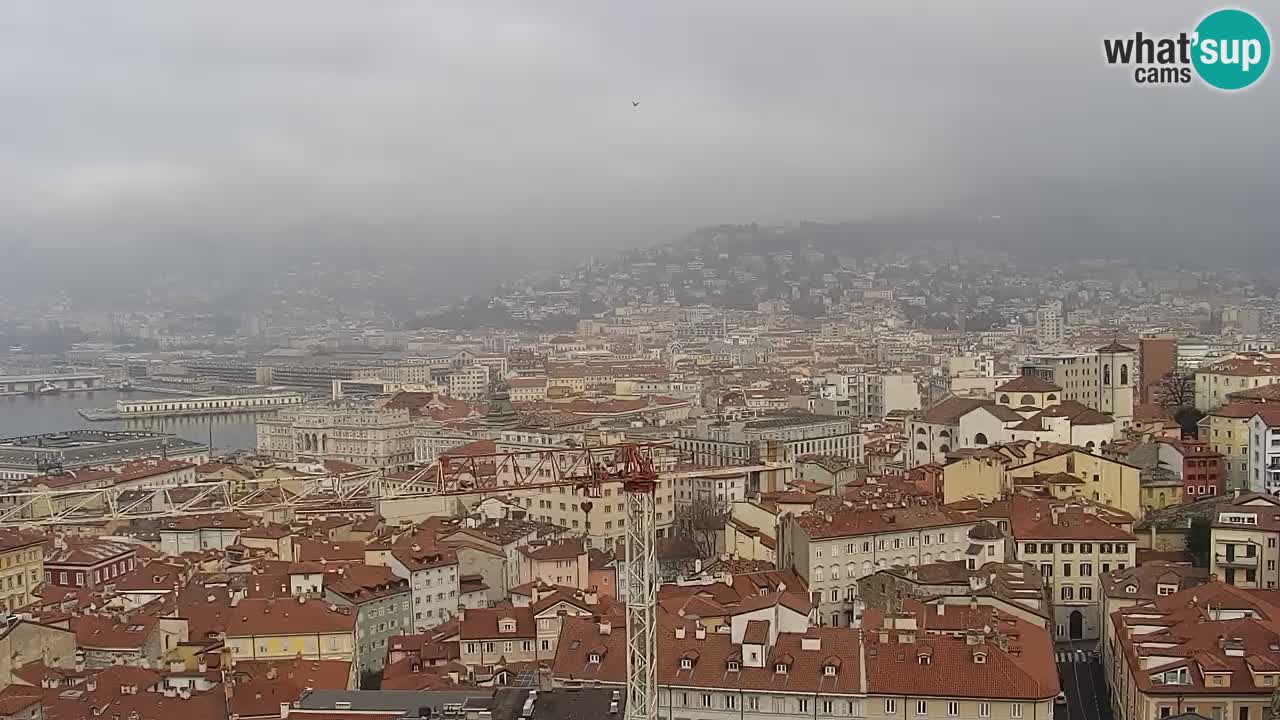 Webcam Trieste –  Vista desde el santuario Monte Grisa