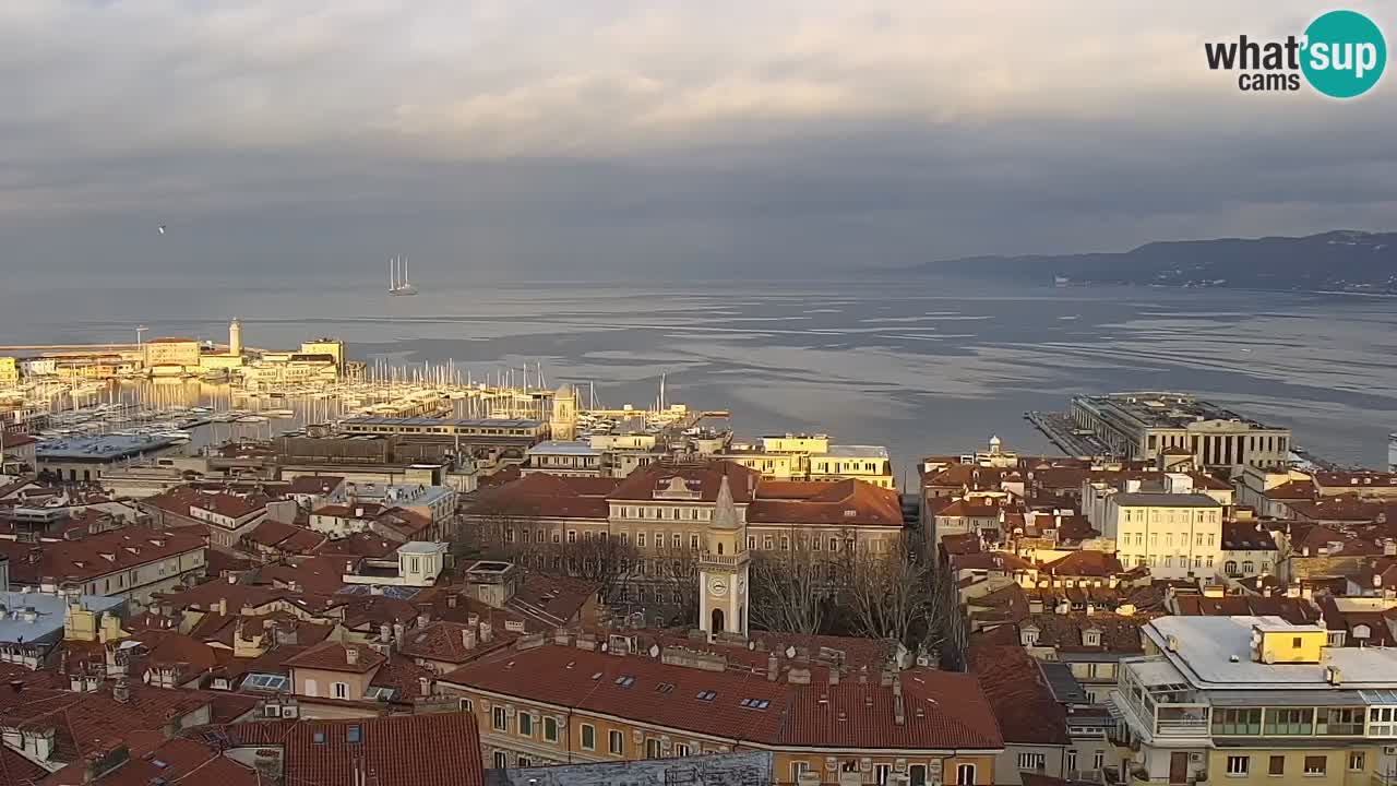 Live webcam Trieste – Panorama of the city, the Gulf, the maritime station and the Miramare castle