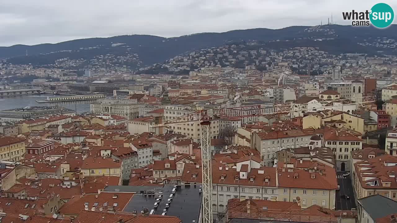 Live webcam Trieste – Panorama of the city, the Gulf, the maritime station and the Miramare castle