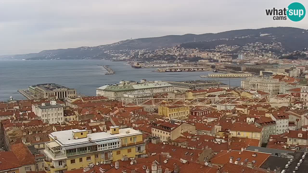 Live webcam Trieste – Panorama of the city, the Gulf, the maritime station and the Miramare castle