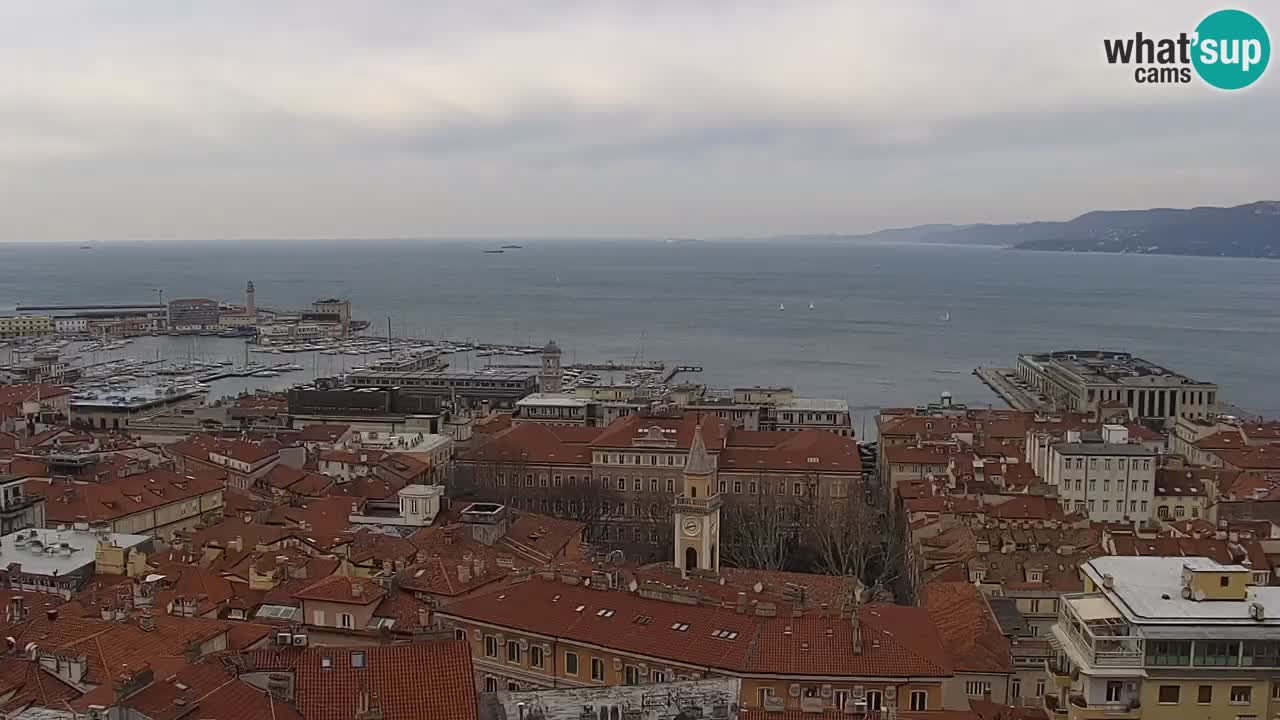 Live webcam Trieste – Panorama of the city, the Gulf, the maritime station and the Miramare castle