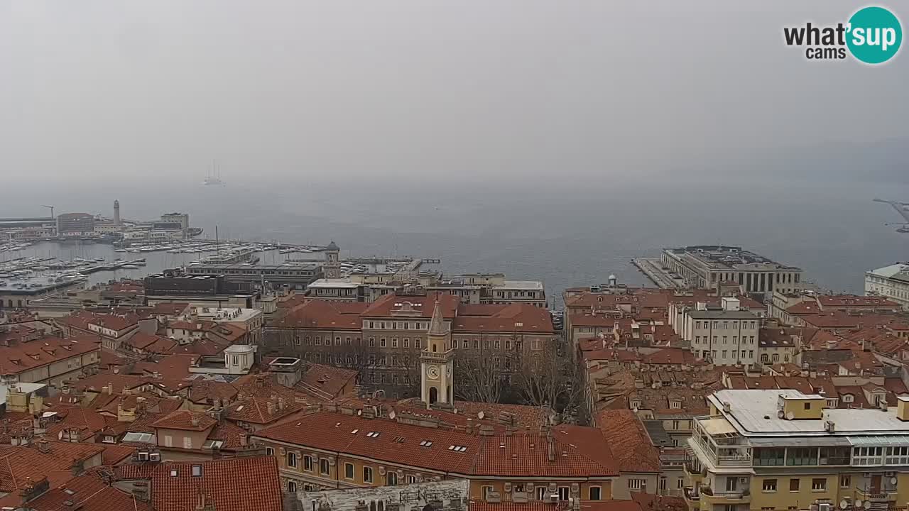 Live webcam Trieste – Panorama of the city, the Gulf, the maritime station and the Miramare castle