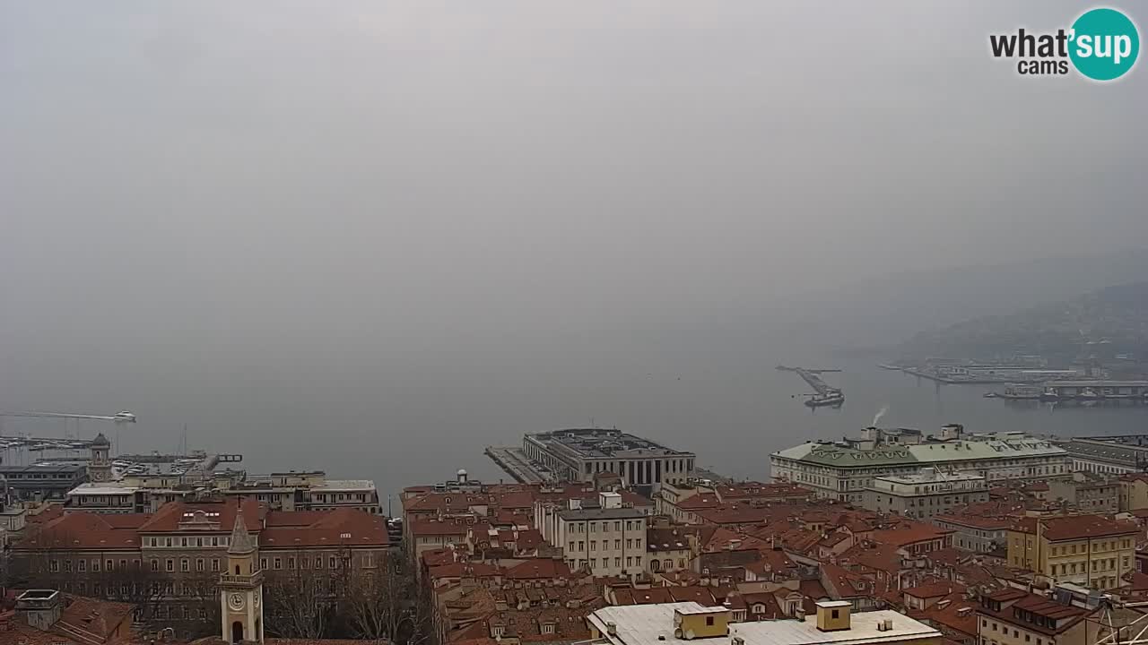 Live webcam Trieste – Panorama of the city, the Gulf, the maritime station and the Miramare castle