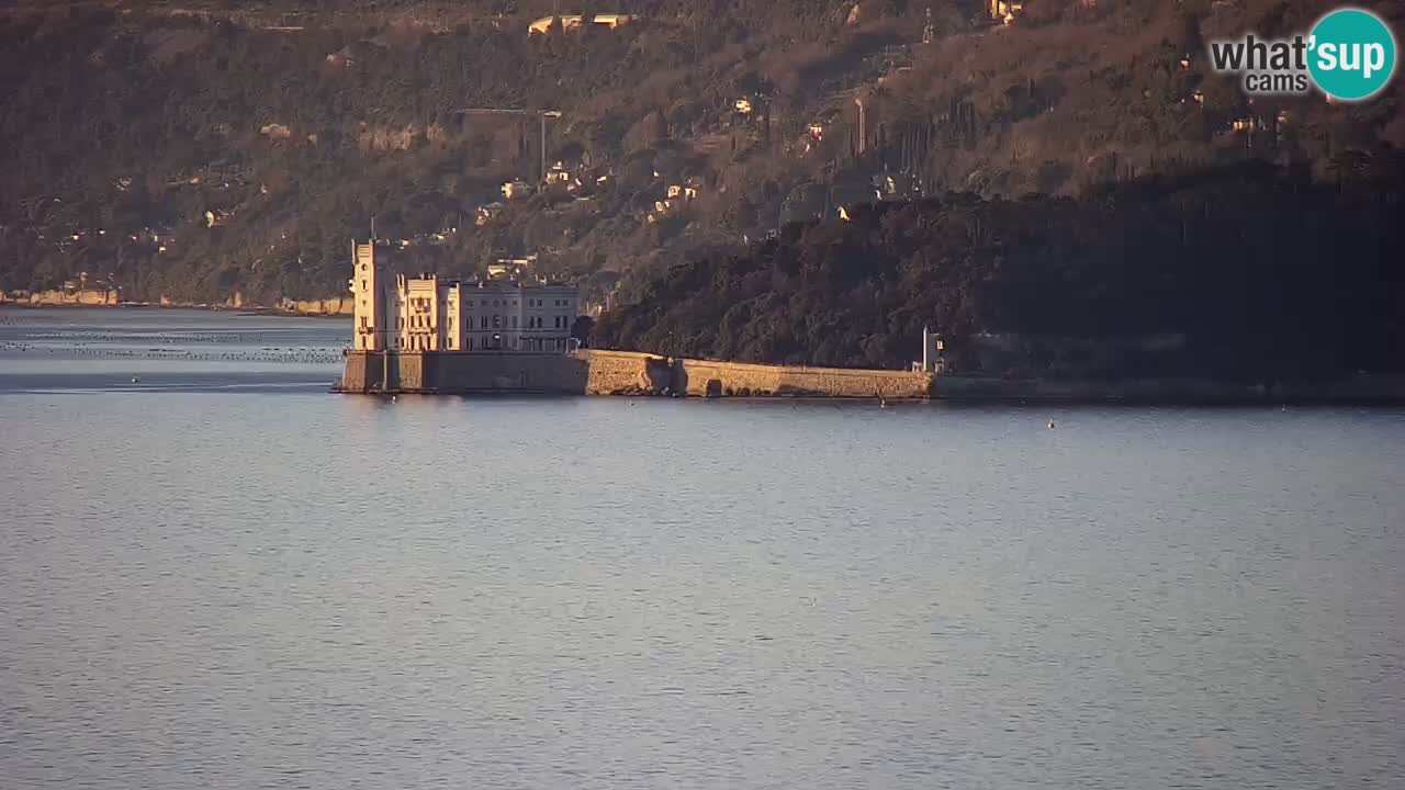 Live webcam Trieste – Panorama of the city, the Gulf, the maritime station and the Miramare castle