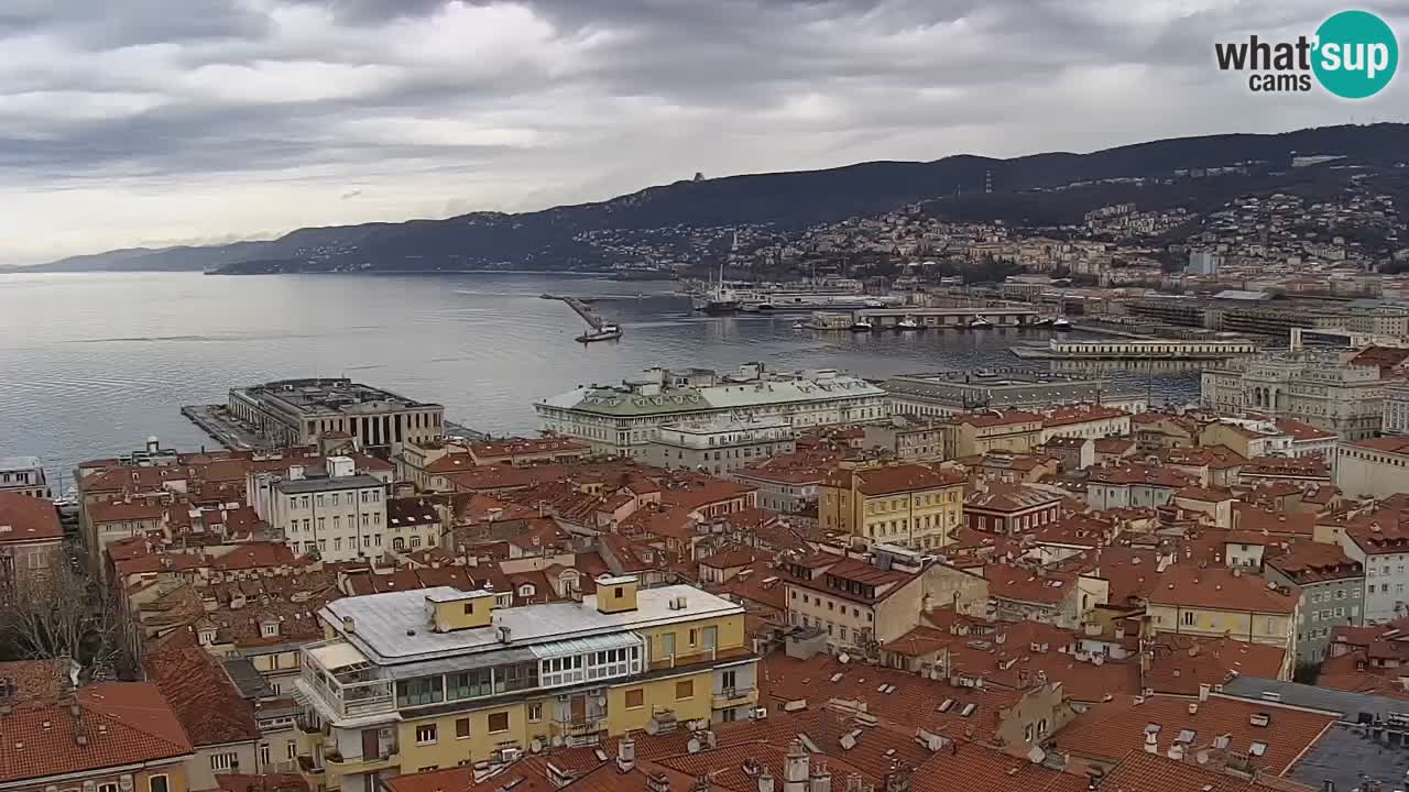 Live webcam Trieste – Panorama of the city, the Gulf, the maritime station and the Miramare castle