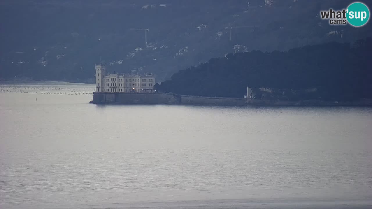 Webcam Trieste – Panorama dal Santuario Monte Grisa