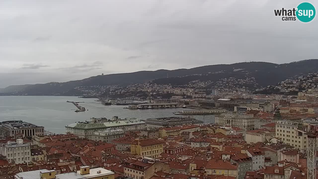 Live webcam Trieste – Panorama of the city, the Gulf, the maritime station and the Miramare castle