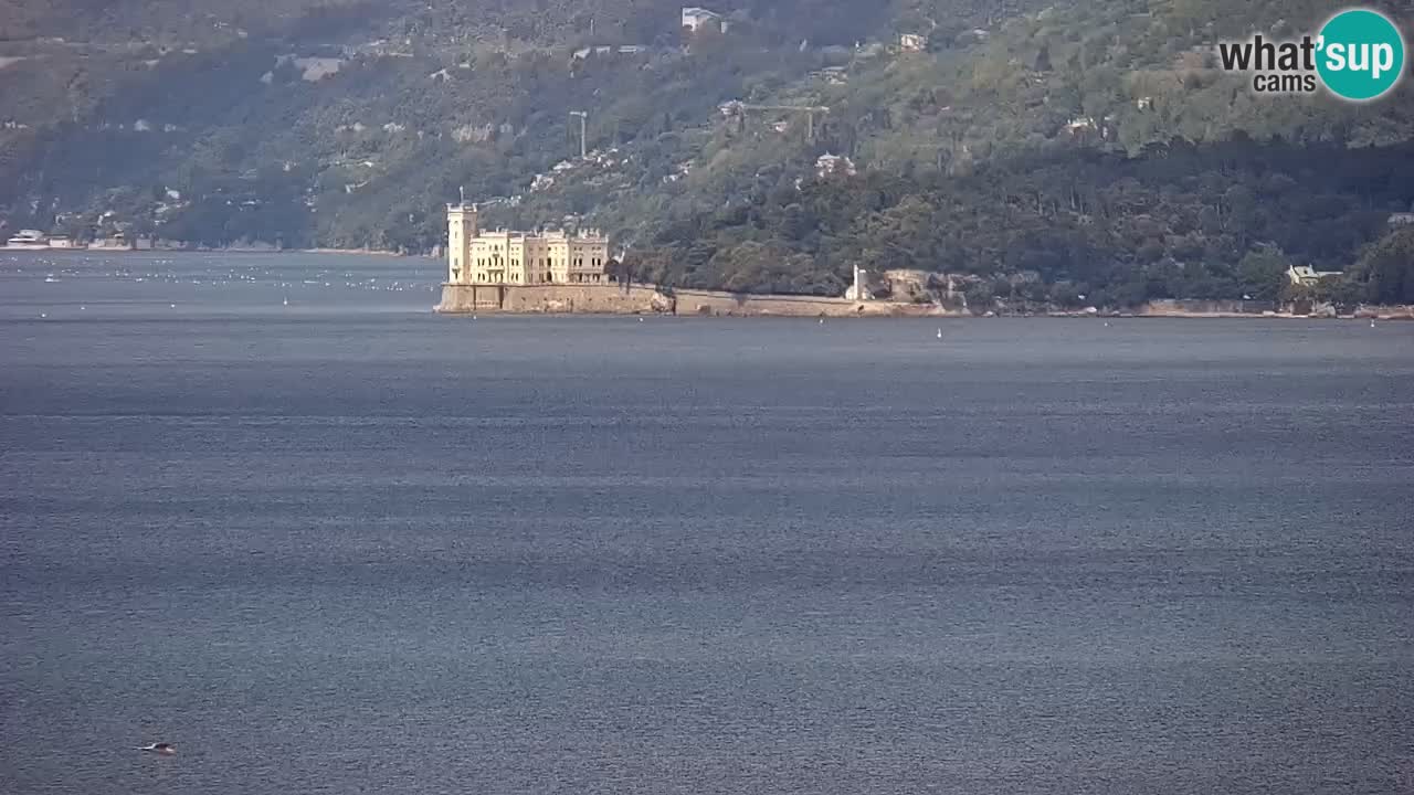 Live webcam Trieste – Panorama of the city, the Gulf, the maritime station and the Miramare castle