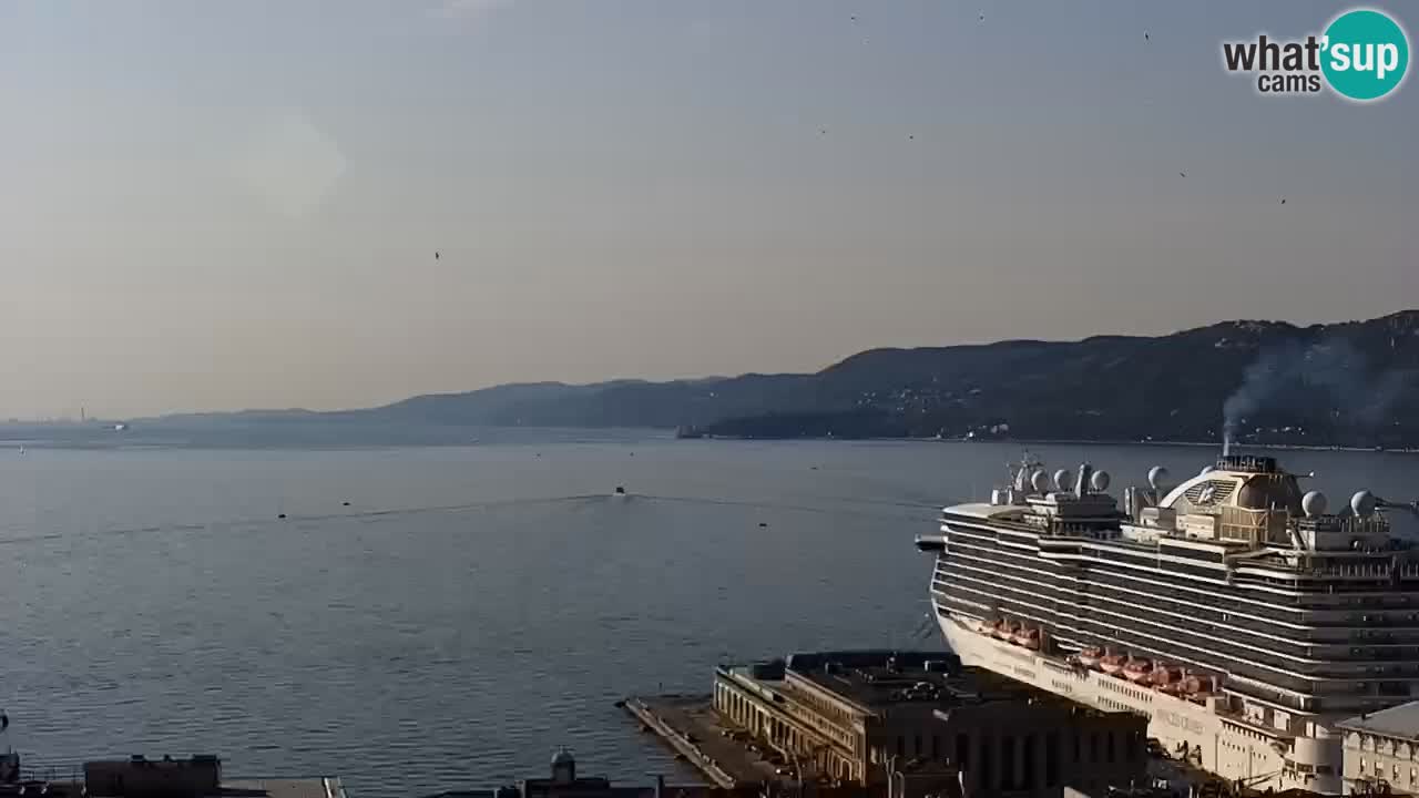 Webcam Trieste – View from sanctuary Monte Grisa