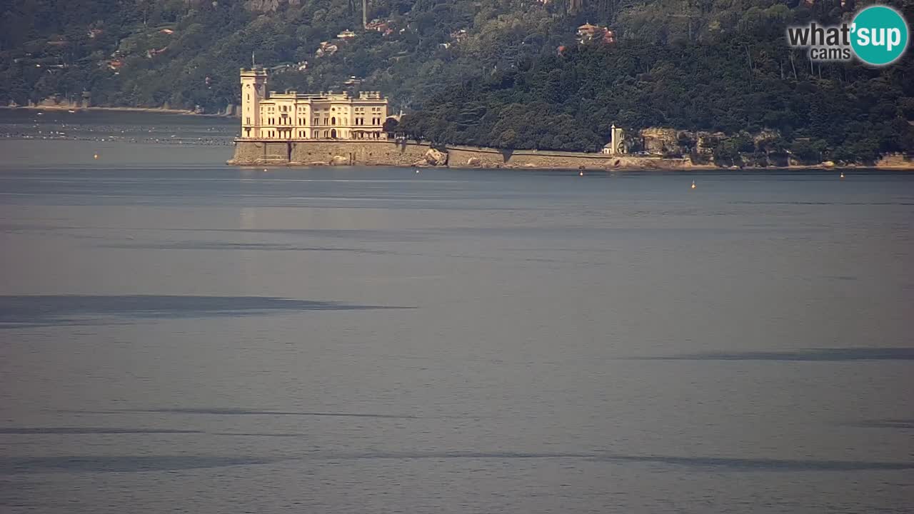 Live webcam Trieste – Panorama of the city, the Gulf, the maritime station and the Miramare castle