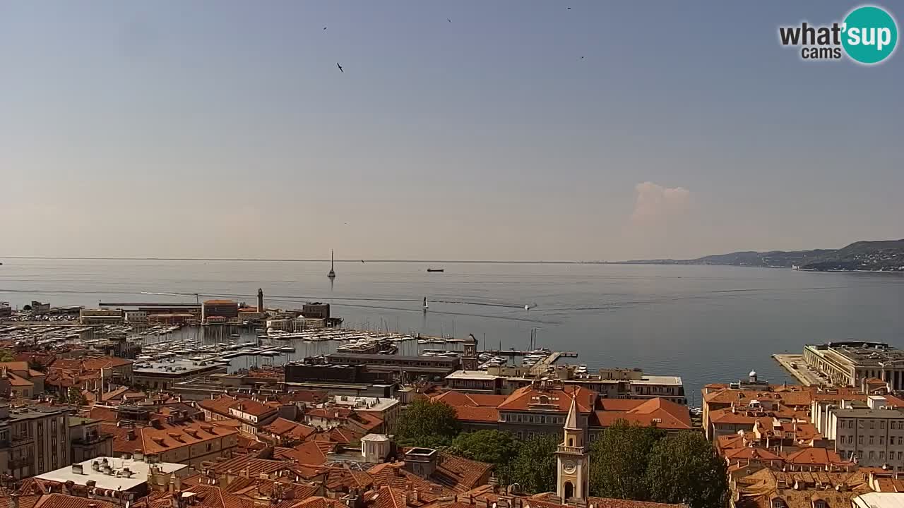 Live webcam Trieste – Panorama of the city, the Gulf, the maritime station and the Miramare castle