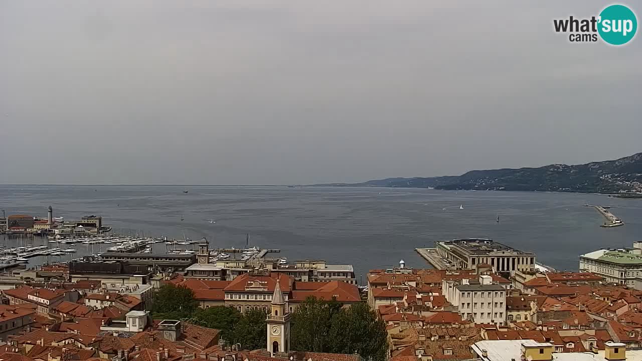 Web kamera Trst uživo – Panorama grada, zaljeva, pomorske postaje i dvorca Miramare