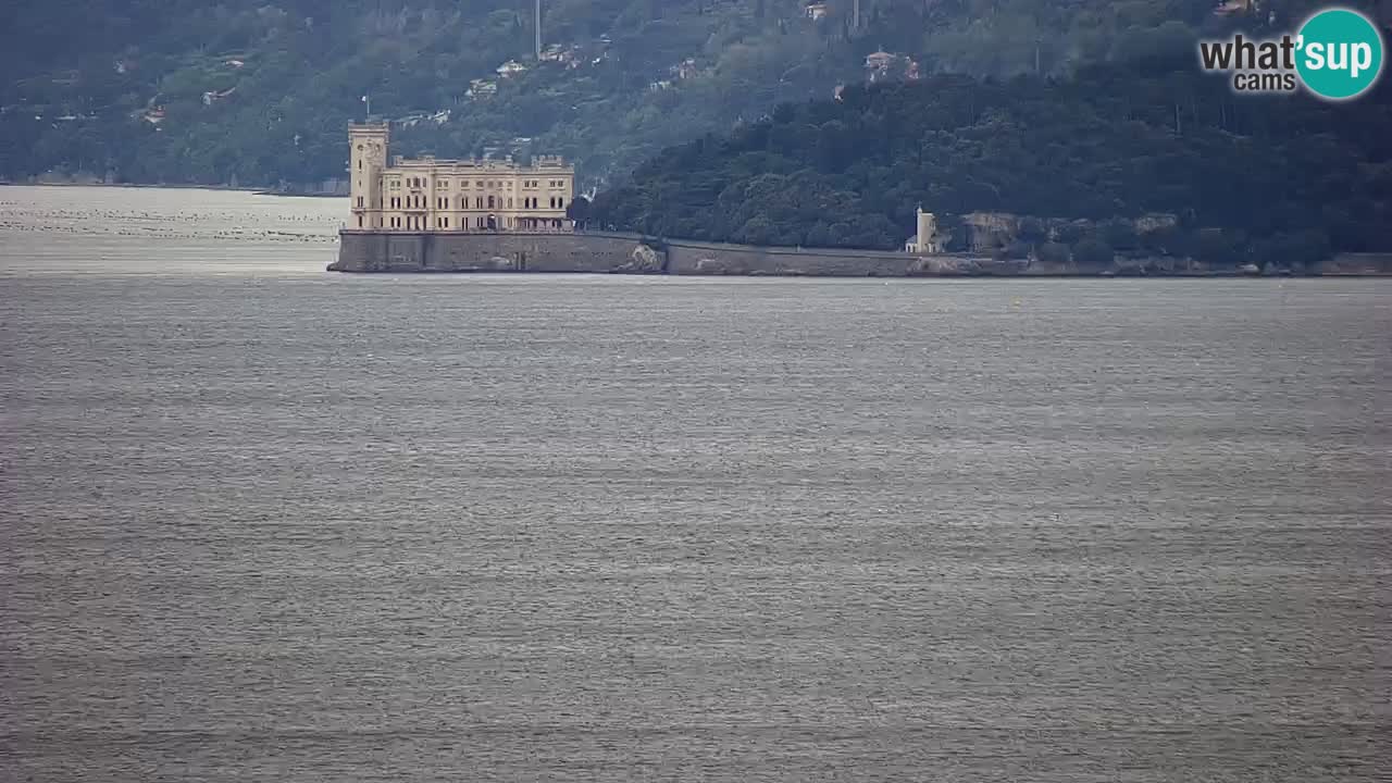 Web kamera Trst – pogled sa svetišta Monte Grisa