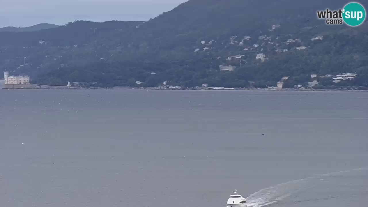 Webcam Trieste – Panorama dal Santuario Monte Grisa