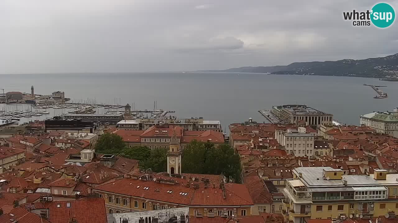 Webcam en direct Trieste, ville, golfe, port et château de Miramare