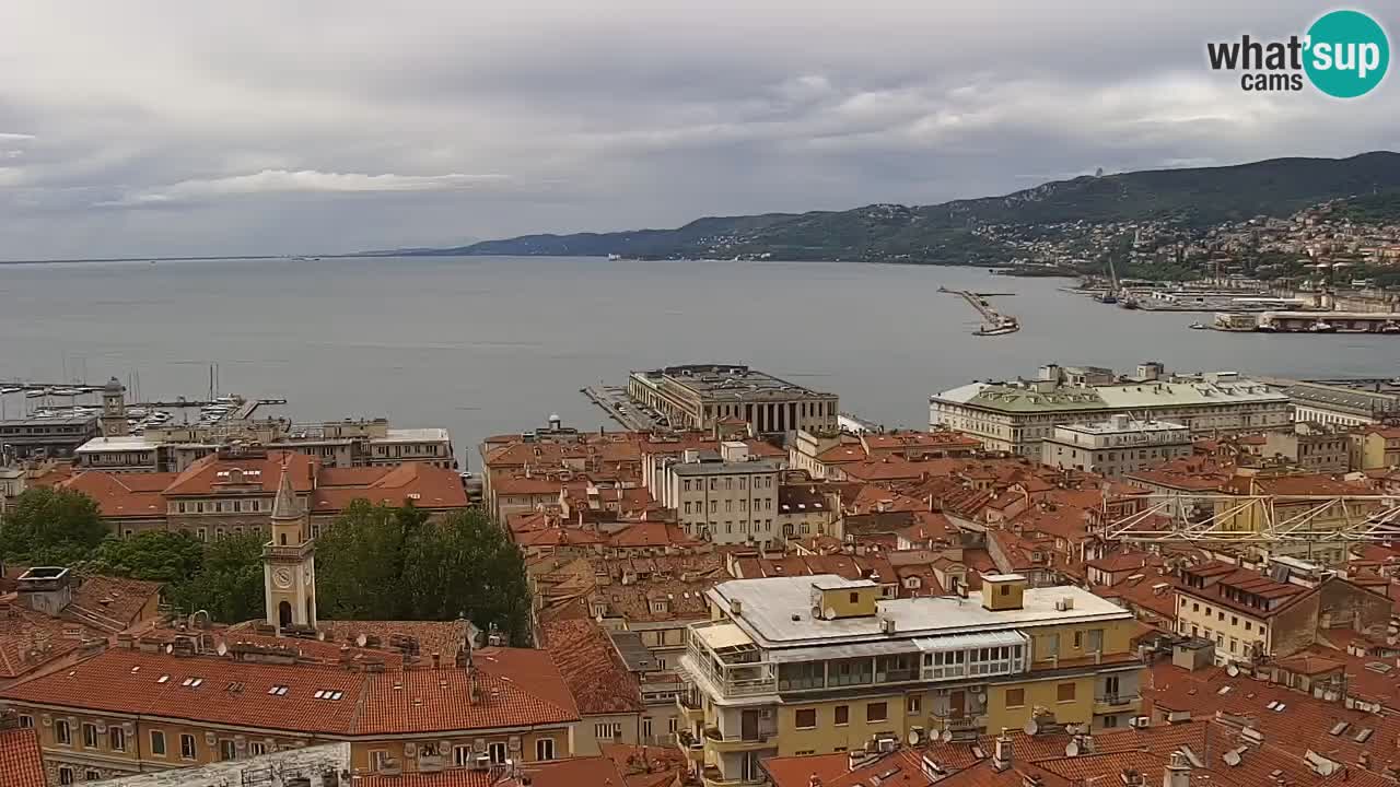 Live webcam Trieste – Panorama of the city, the Gulf, the maritime station and the Miramare castle
