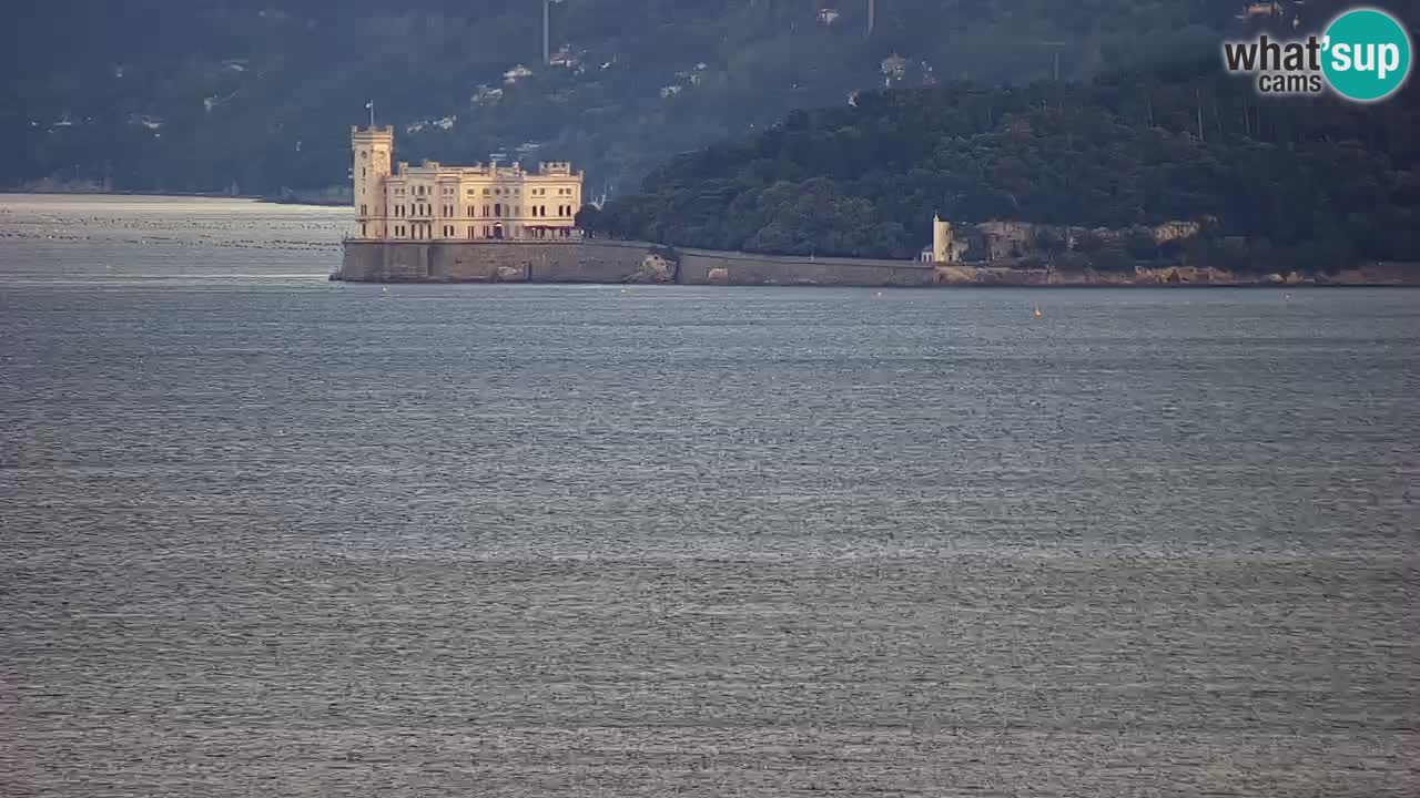 Live webcam Trieste – Panorama of the city, the Gulf, the maritime station and the Miramare castle