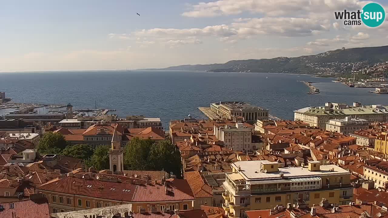 Webcam en direct Trieste, ville, golfe, port et château de Miramare