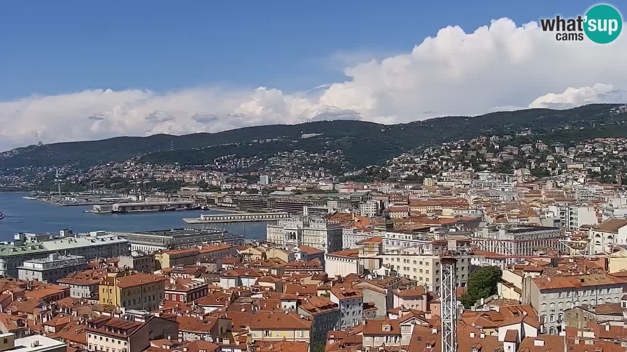 Web kamera Trst uživo – Panorama grada, zaljeva, pomorske postaje i dvorca Miramare