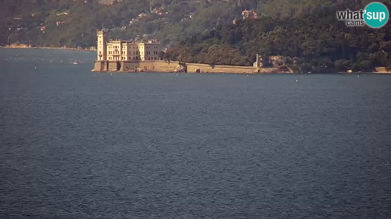 Webcam en vivo Trieste, ciudad, golfo, puerto y castillo de Miramare
