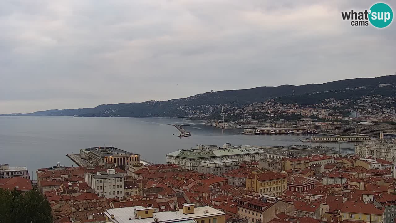 Live webcam Trieste – Panorama of the city, the Gulf, the maritime station and the Miramare castle