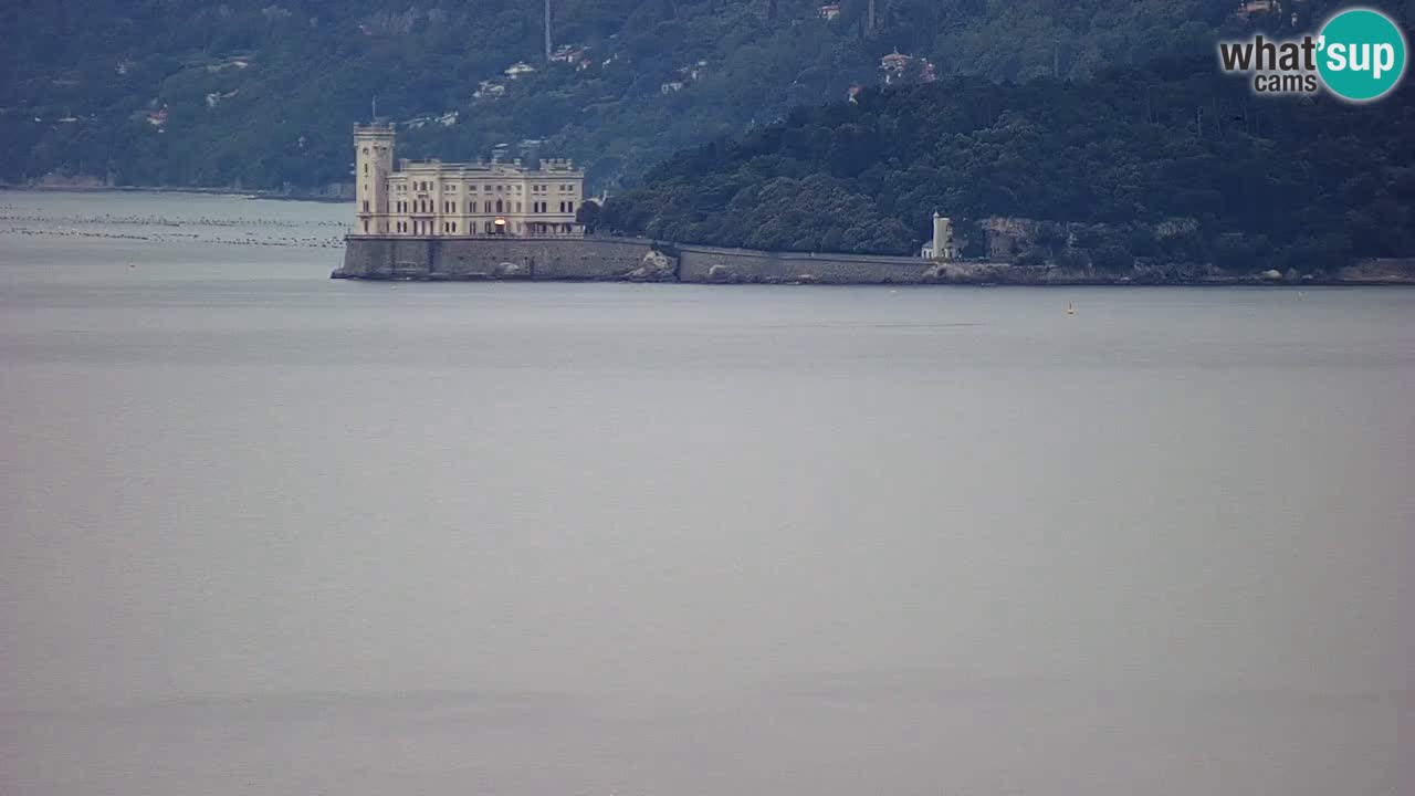 Live-Webcam Triest – Panorama der Stadt, des Golfs, der Seestation und des Schlosses Miramare