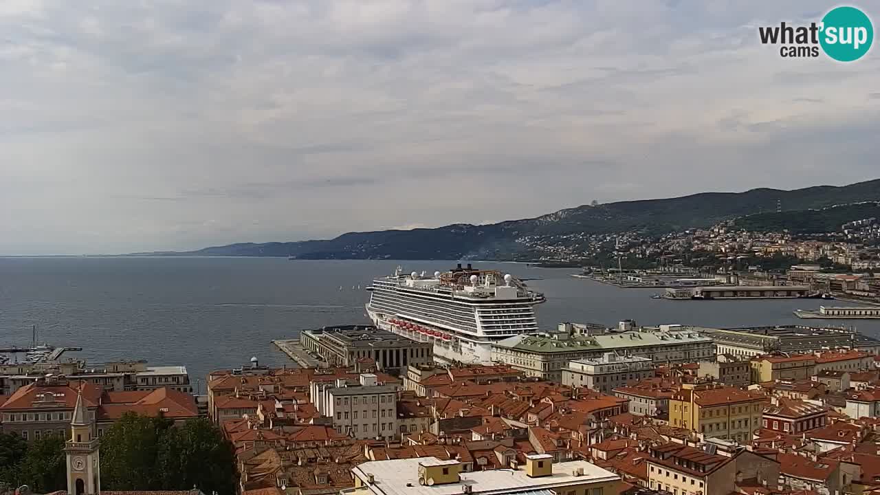 Web kamera Trst uživo – Panorama grada, zaljeva, pomorske postaje i dvorca Miramare