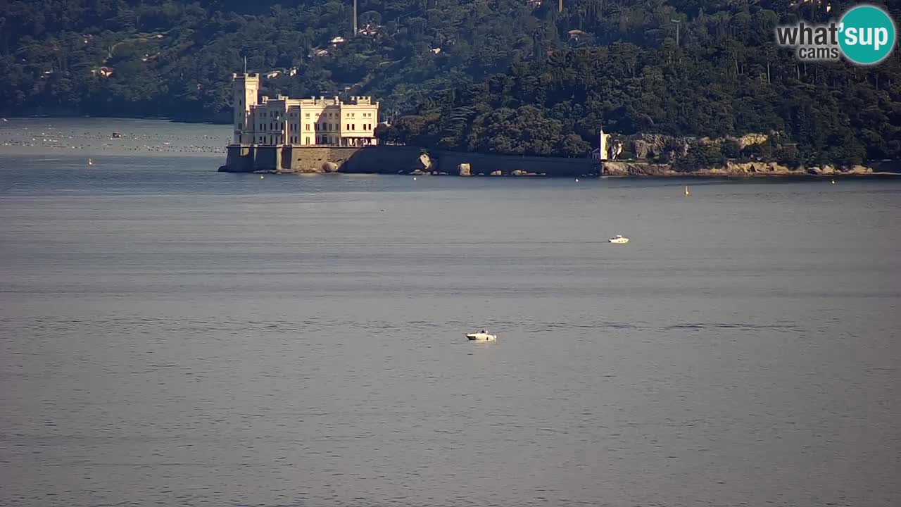 Web kamera Trst uživo – Panorama grada, zaljeva, pomorske postaje i dvorca Miramare