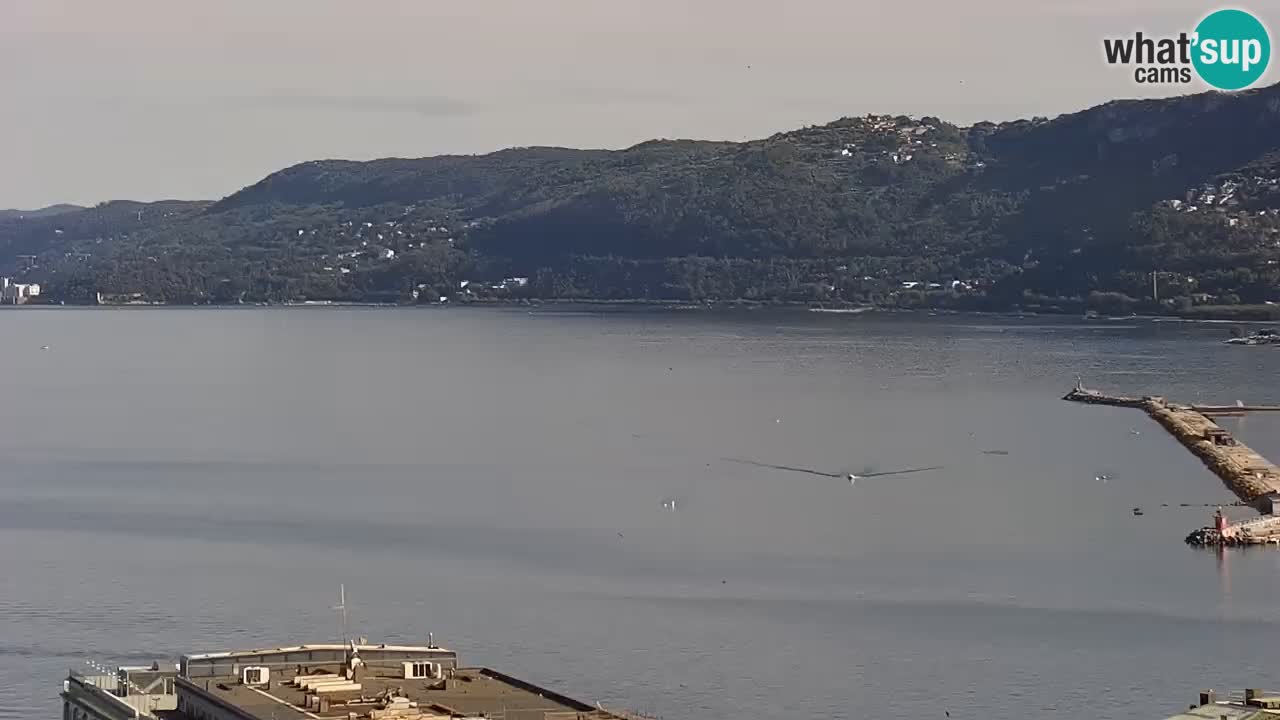 Live-Webcam Triest – Panorama der Stadt, des Golfs, der Seestation und des Schlosses Miramare