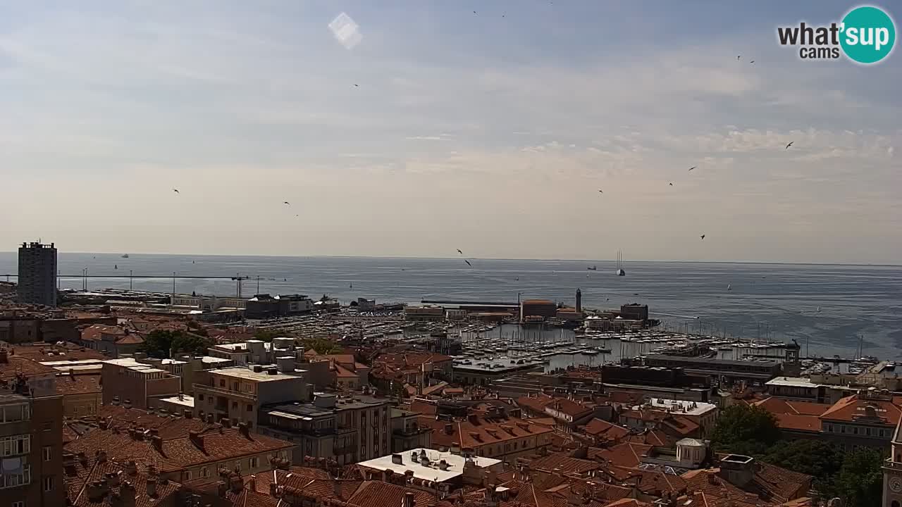 Live webcam Trieste – Panorama of the city, the Gulf, the maritime station and the Miramare castle